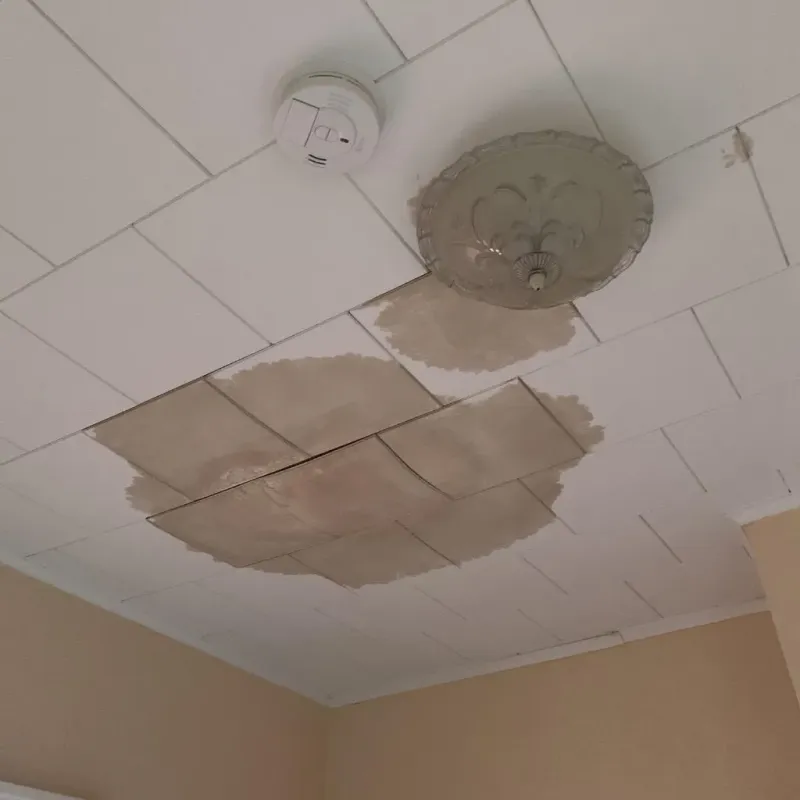 Ceiling Water Damage Repair in McKinley Park, IL