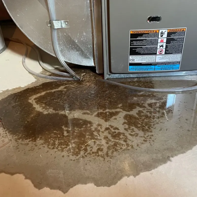 Pipe Burst and Leak Restoration in McKinley Park, IL