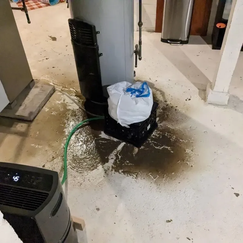Sewage Backup Cleanup Service in McKinley Park, IL